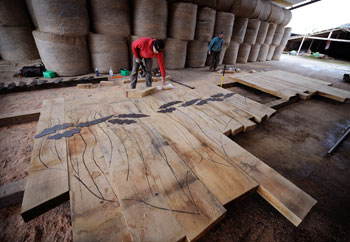 timber being laid out