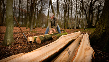splitting logs